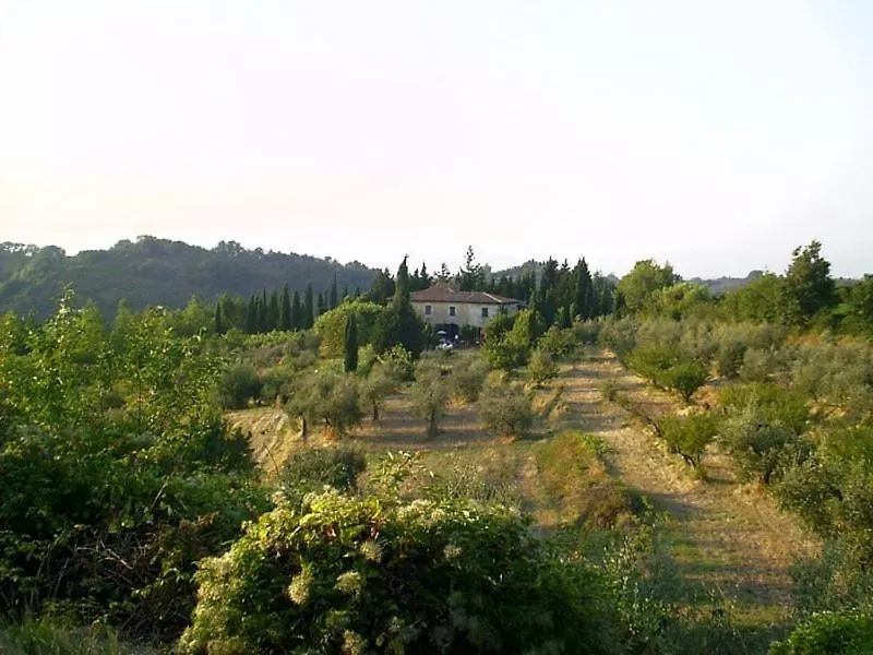 Podere Il Cardellino Lari