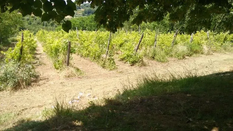 Holiday home Podere Il Cardellino Lari Italy
