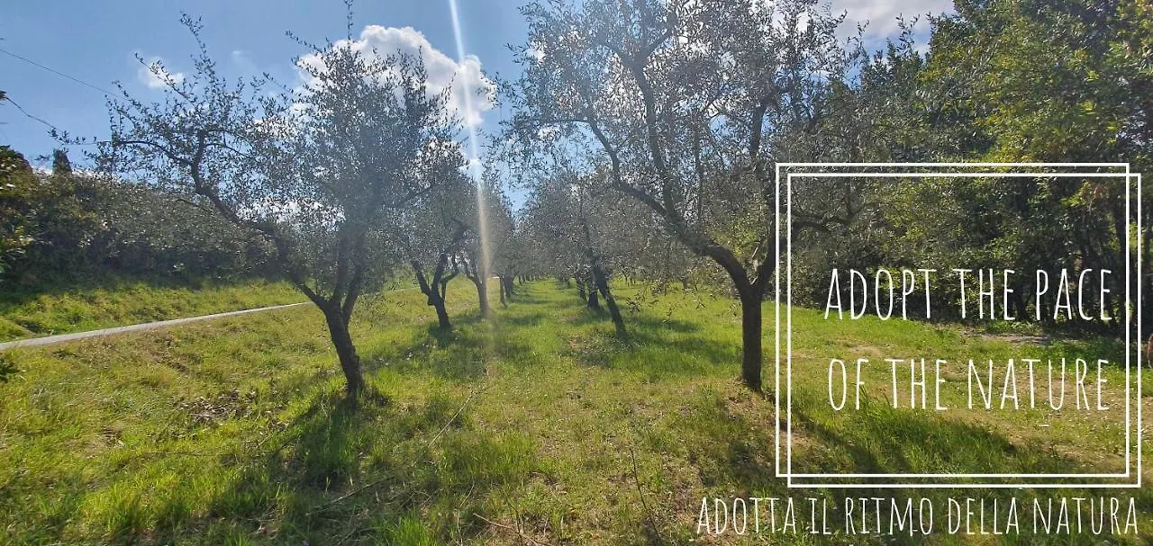 Podere Il Cardellino Lari Holiday home