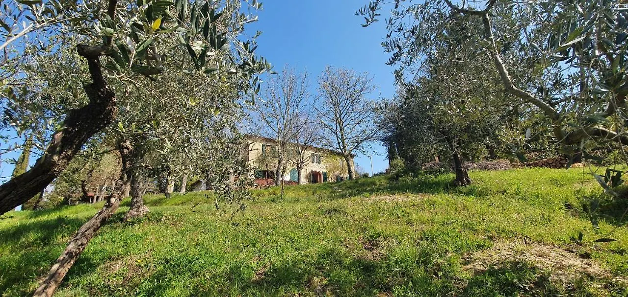 Holiday home Podere Il Cardellino Lari