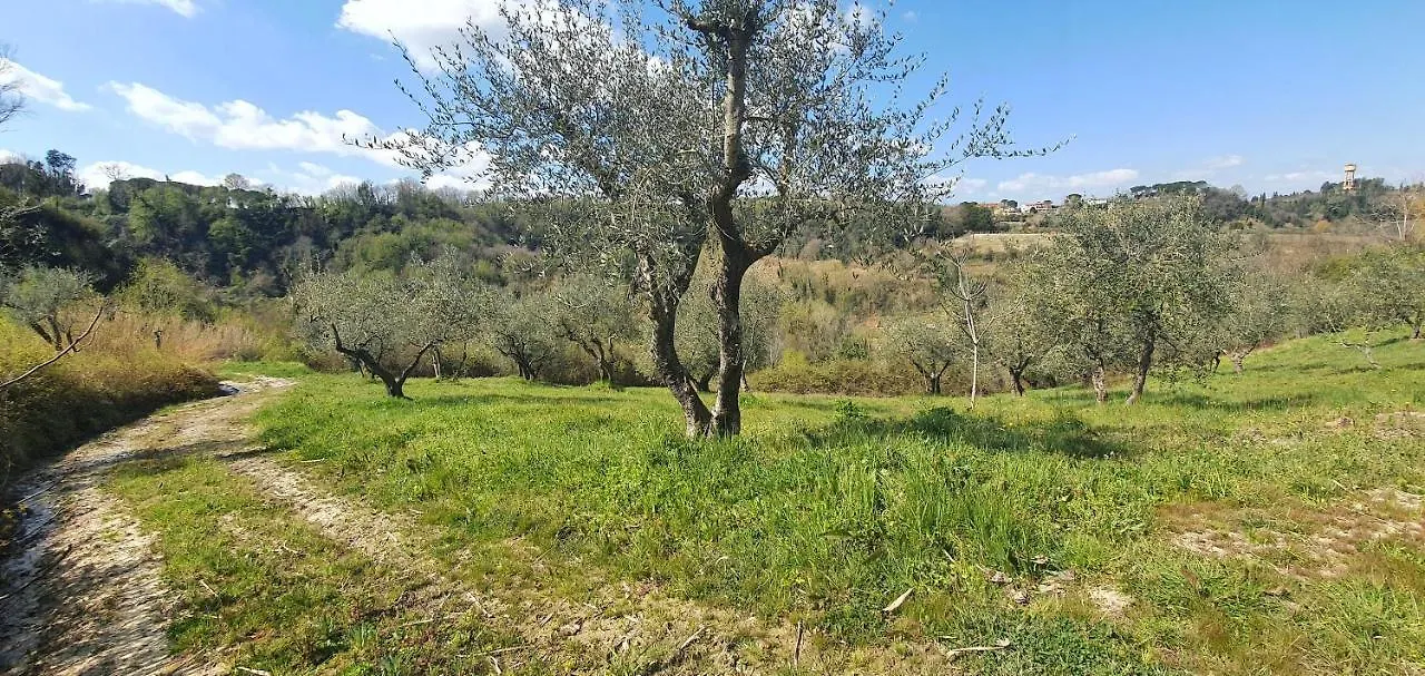 Podere Il Cardellino Lari 0*,