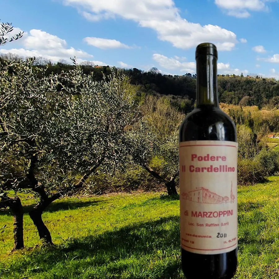 Podere Il Cardellino Lari
