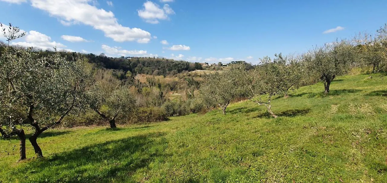 Podere Il Cardellino Lari 0*,  Italy
