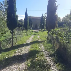 Affittacamere Olivieri, Lari