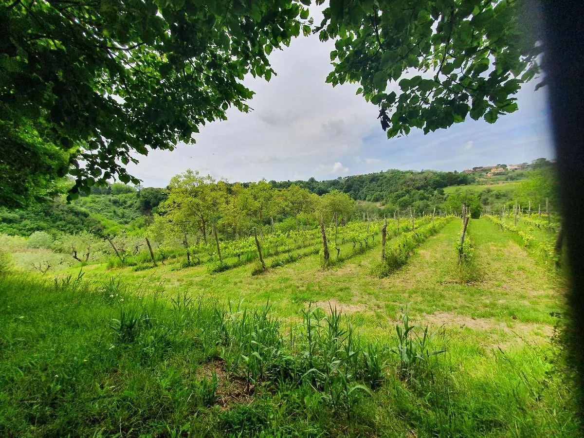 Holiday home Podere Il Cardellino Lari